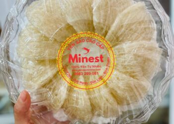 Khám Phá Yến Sào Minest: Hương Vị Tinh Tế và Sức Khỏe Nguyên Vẹn